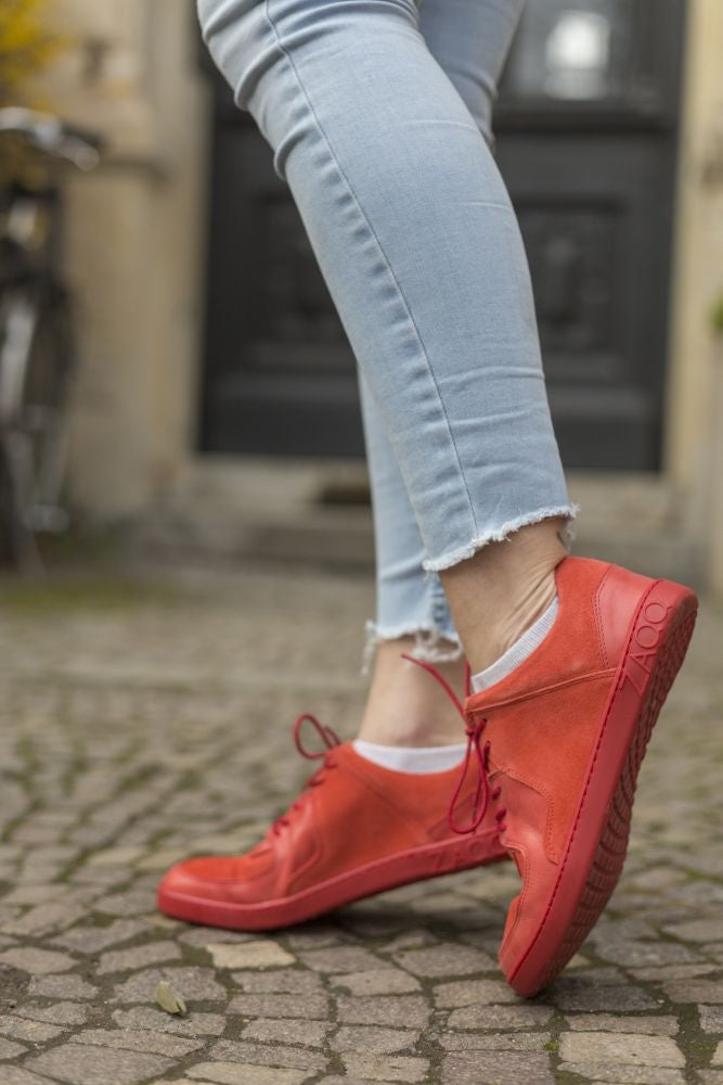 IVIQ ROJO